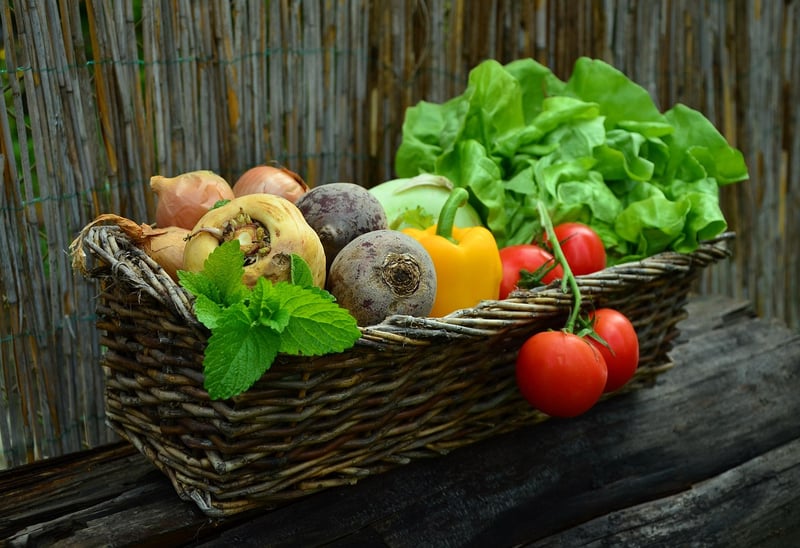 Colorful Salad